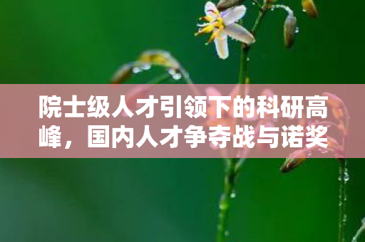 院士级人才引领下的科研高峰，国内人才争夺战与诺奖荣誉的探索