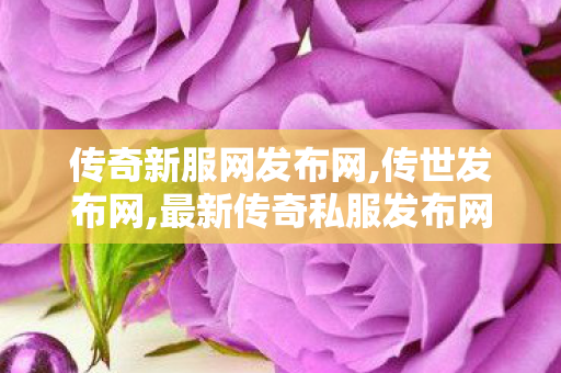 传奇新服网发布网,传世发布网,最新传奇私服发布网站,传世发布网
