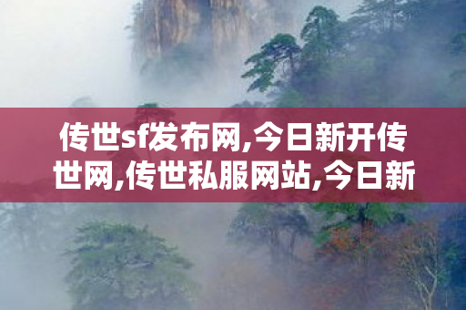 传世sf发布网,今日新开传世网,传世私服网站,今日新开传世网