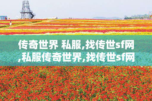 传奇世界 私服,找传世sf网,私服传奇世界,找传世sf网
