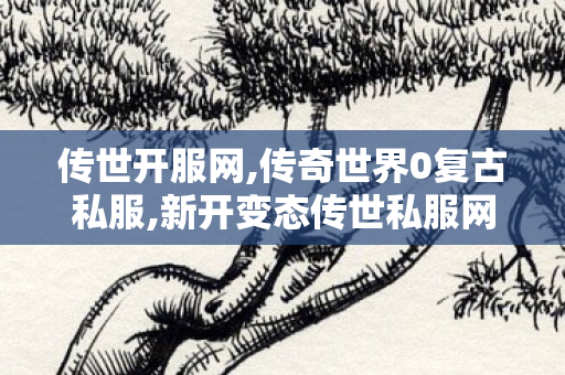 传世开服网,传奇世界0复古私服,新开变态传世私服网,传奇世界0复古私服