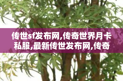 传世sf发布网,传奇世界月卡私服,最新传世发布网,传奇世界月卡私服