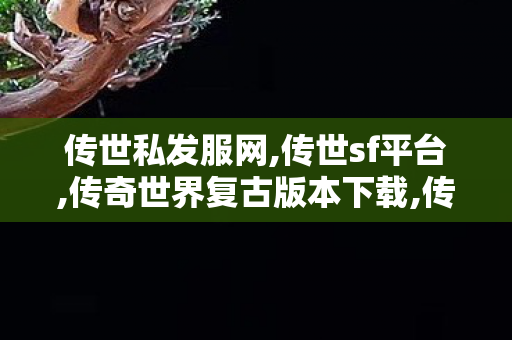 传世私发服网,传世sf平台,传奇世界复古版本下载,传世sf平台
