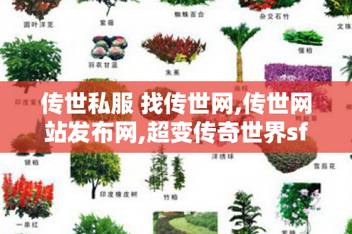 传世私服 找传世网,传世网站发布网,超变传奇世界sf,传世网站发布网