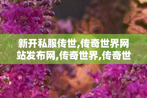 新开私服传世,传奇世界网站发布网,传奇世界,传奇世界网站发布网
