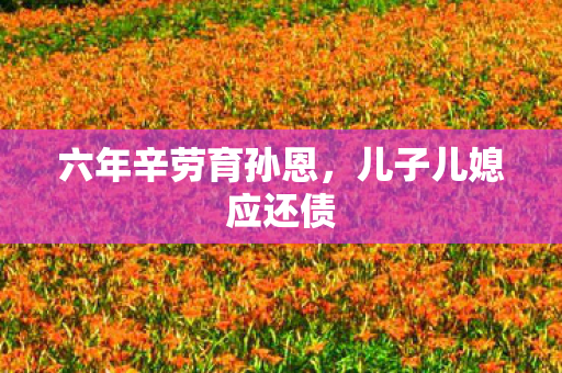 六年辛劳育孙恩，儿子儿媳应还债
