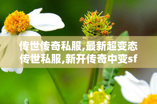 传世传奇私服,最新超变态传世私服,新开传奇中变sf网站,最新超变态传世私服