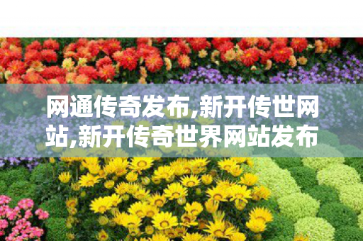 网通传奇发布,新开传世网站,新开传奇世界网站发布网,新开传世网站