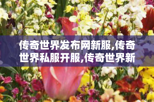 传奇世界发布网新服,传奇世界私服开服,传奇世界新开,传奇世界私服开服