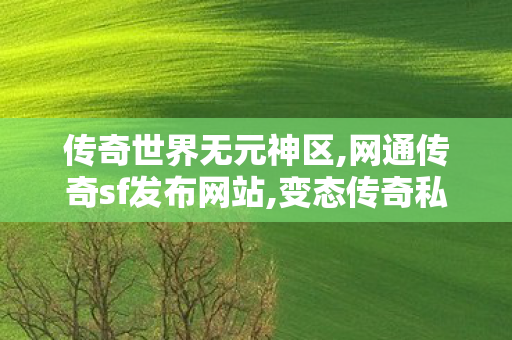 传奇世界无元神区,网通传奇sf发布网站,变态传奇私发服网sf,网通传奇sf发布网站