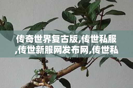 传奇世界复古版,传世私服,传世新服网发布网,传世私服