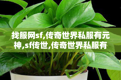 找服网sf,传奇世界私服有元神,sf传世,传奇世界私服有元神