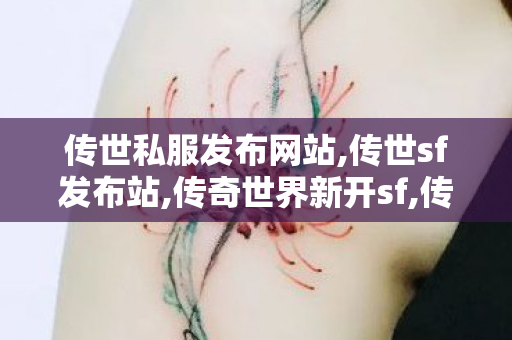 传世私服发布网站,传世sf发布站,传奇世界新开sf,传世sf发布站