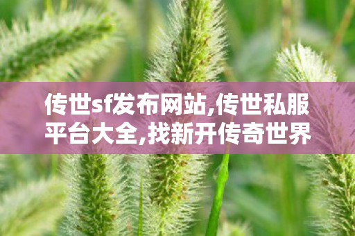 传世sf发布网站,传世私服平台大全,找新开传奇世界私服,传世私服平台大全