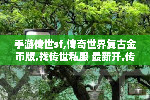 手游传世sf,传奇世界复古金币版,找传世私服 最新开,传奇世界复古金币版