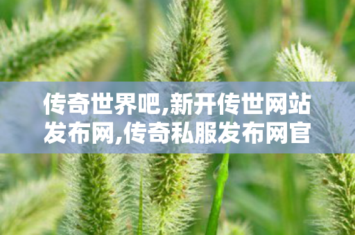 传奇世界吧,新开传世网站发布网,传奇私服发布网官网,新开传世网站发布网