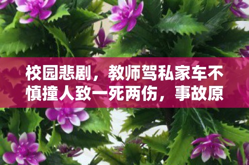 校园悲剧，教师驾私家车不慎撞人致一死两伤，事故原因及后续处理引人深思