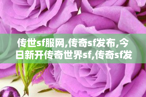 传世sf服网,传奇sf发布,今日新开传奇世界sf,传奇sf发布