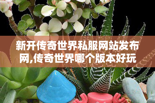 新开传奇世界私服网站发布网,传奇世界哪个版本好玩,传世超变,传奇世界哪个版本好玩
