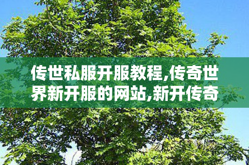 传世私服开服教程,传奇世界新开服的网站,新开传奇微变网站,传奇世界新开服的网站
