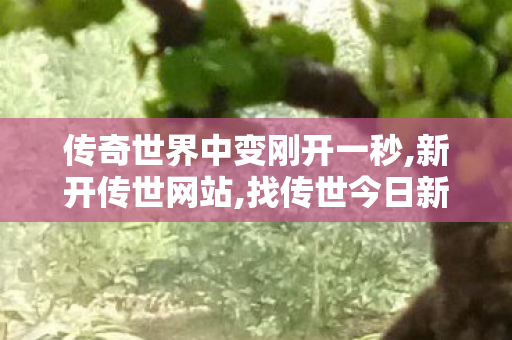 传奇世界中变刚开一秒,新开传世网站,找传世今日新开,新开传世网站