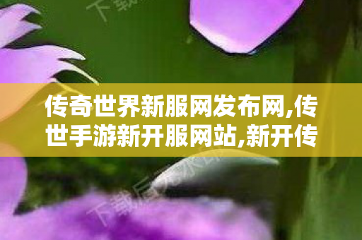 传奇世界新服网发布网,传世手游新开服网站,新开传世私服刚开一秒,传世手游新开服网站