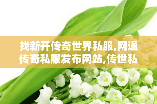 找新开传奇世界私服,网通传奇私服发布网站,传世私服发布网,网通传奇私服发布网站