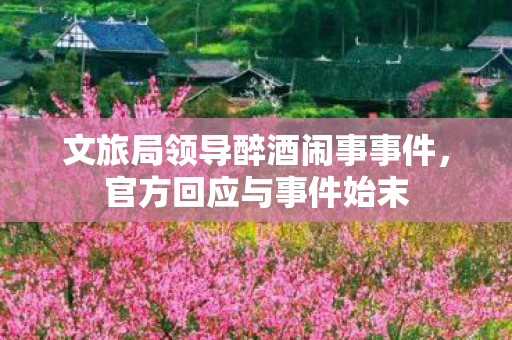 文旅局领导醉酒闹事事件，官方回应与事件始末