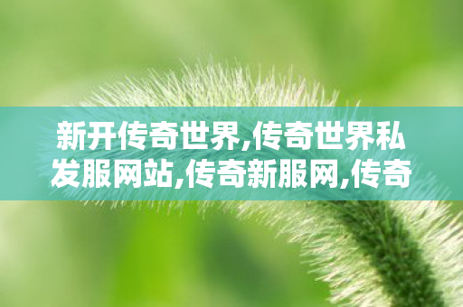 新开传奇世界,传奇世界私发服网站,传奇新服网,传奇世界私发服网站