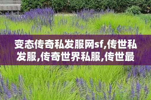 变态传奇私发服网sf,传世私发服,传奇世界私服,传世最新私服,传世私发服