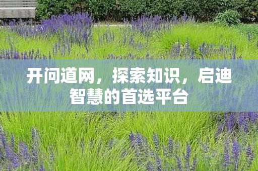 开问道网，探索知识，启迪智慧的首选平台