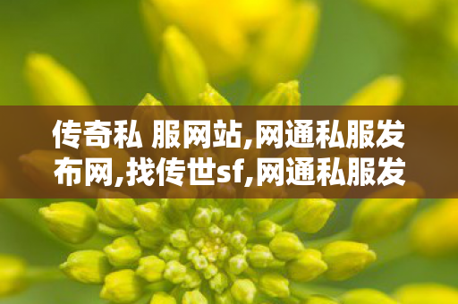 传奇私 服网站,网通私服发布网,找传世sf,网通私服发布网