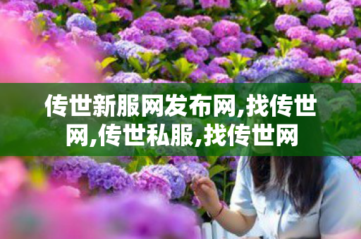 传世新服网发布网,找传世网,传世私服,找传世网