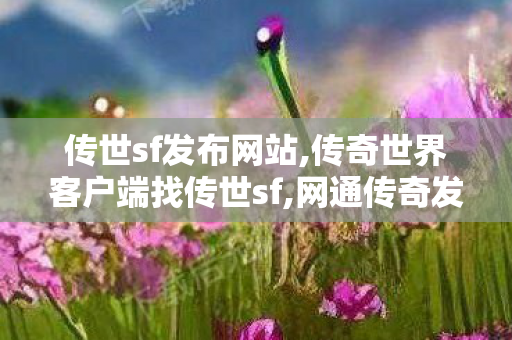 传世sf发布网站,传奇世界客户端	找传世sf,网通传奇发布网,传奇世界客户端	找传世sf