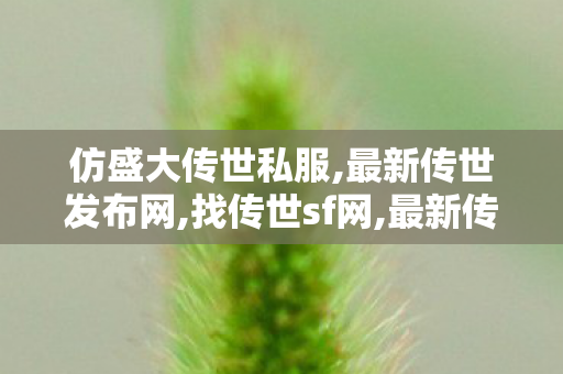 仿盛大传世私服,最新传世发布网,找传世sf网,最新传世发布网