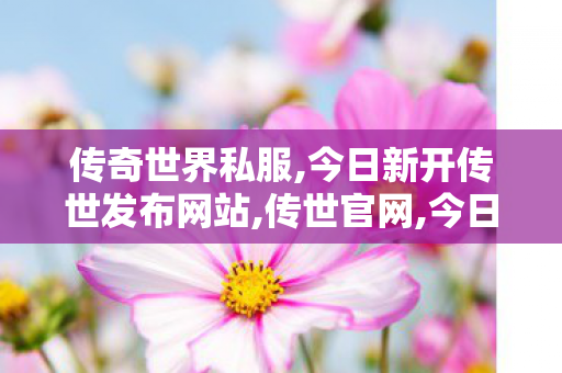 传奇世界私服,今日新开传世发布网站,传世官网,今日新开传世发布网站