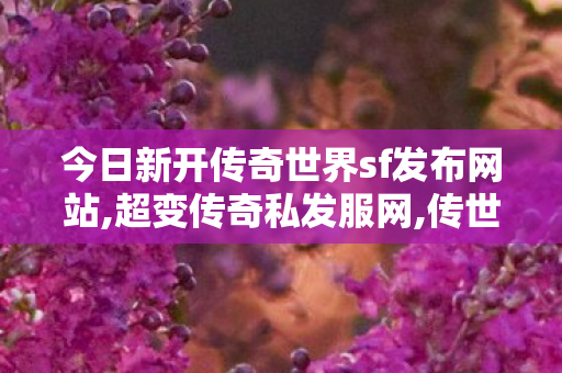 今日新开传奇世界sf发布网站,超变传奇私发服网,传世开sf,超变传奇私发服网