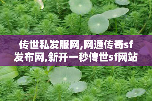 传世私发服网,网通传奇sf发布网,新开一秒传世sf网站,网通传奇sf发布网