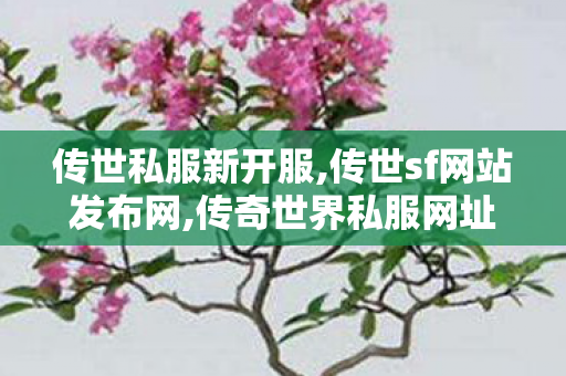 传世私服新开服,传世sf网站发布网,传奇世界私服网址,传世sf网站发布网