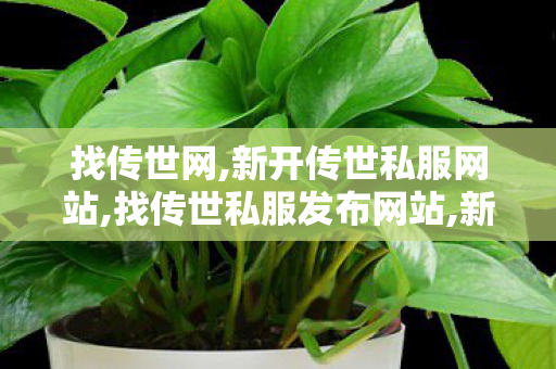 找传世网,新开传世私服网站,找传世私服发布网站,新开传世私服网站