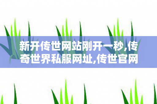 新开传世网站刚开一秒,传奇世界私服网址,传世官网,传奇世界私服网址