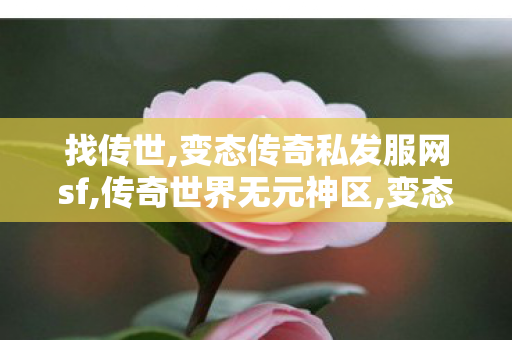 找传世,变态传奇私发服网sf,传奇世界无元神区,变态传奇私发服网sf