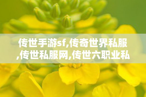 传世手游sf,传奇世界私服,传世私服网,传世六职业私服,传奇世界私服,传世私服网