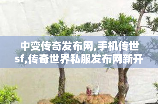 中变传奇发布网,手机传世sf,传奇世界私服发布网新开服,手机传世sf