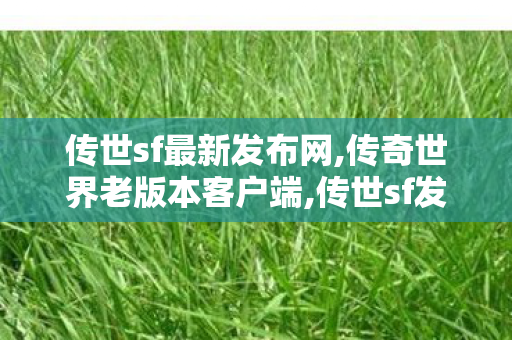 传世sf最新发布网,传奇世界老版本客户端,传世sf发布网,传奇世界老版本客户端