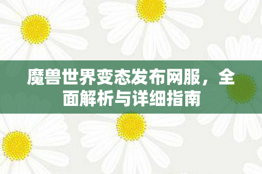 魔兽世界变态发布网服，全面解析与详细指南