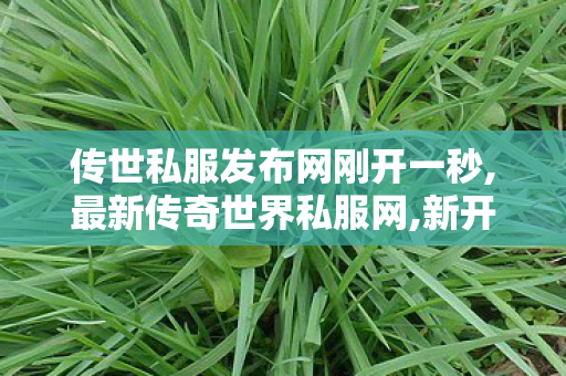 传世私服发布网刚开一秒,最新传奇世界私服网,新开传奇世界sf,最新传奇世界私服网