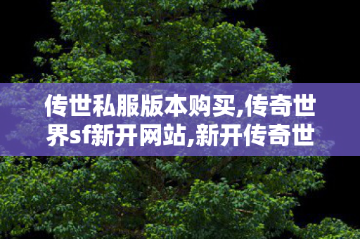 传世私服版本购买,传奇世界sf新开网站,新开传奇世界sf网站,传奇世界sf新开网站