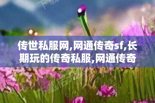 传世私服网,网通传奇sf,长期玩的传奇私服,网通传奇sf
