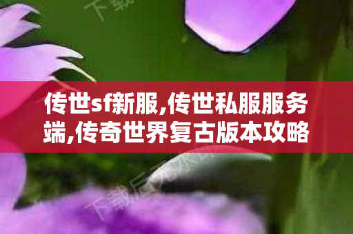传世sf新服,传世私服服务端,传奇世界复古版本攻略,传世私服服务端